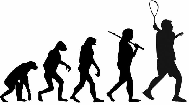 squash_evolution.gif